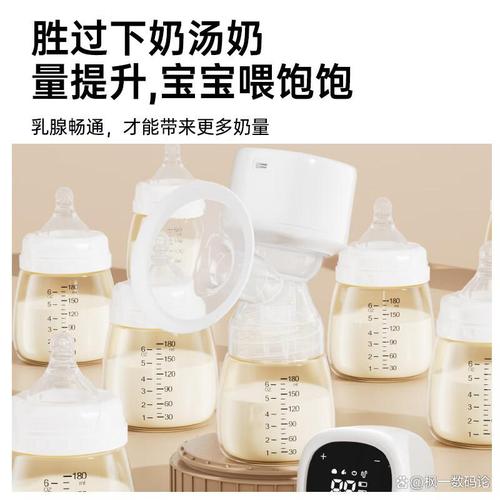 「电动吸奶器推荐」2026年高性价比电动吸奶器十大品牌排行榜,哪个